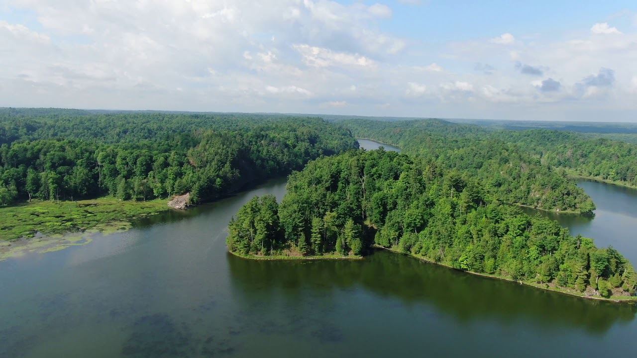 Muskellunge Lake Montcalm County